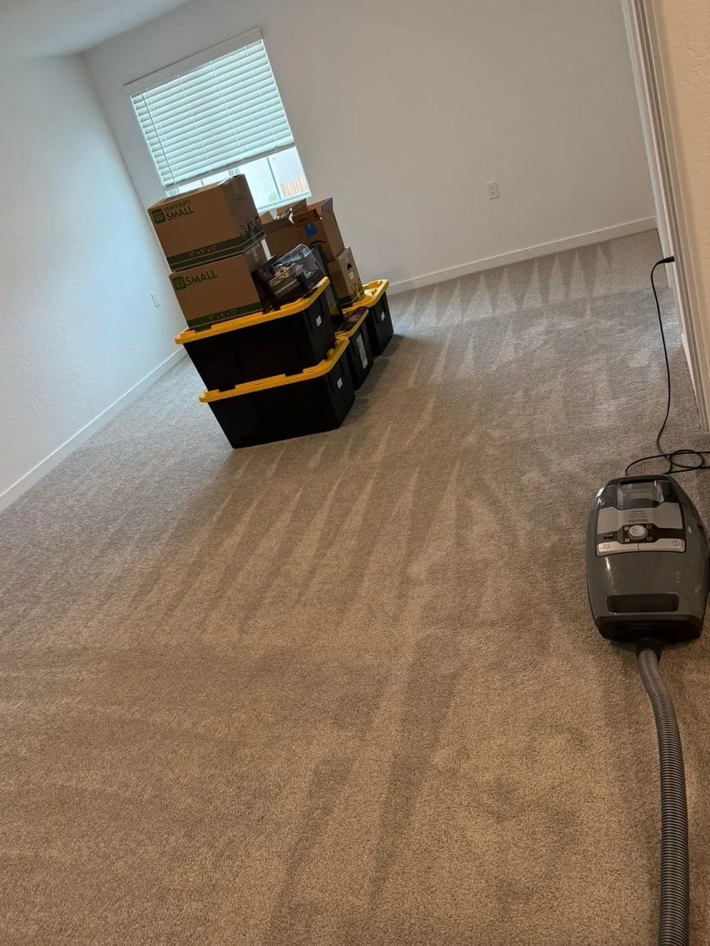 Move In & Out
